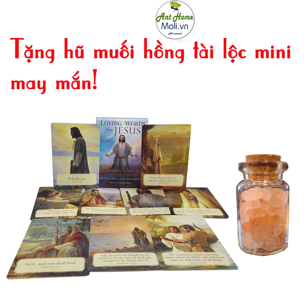 {Kèm quà tặng} Bộ bài Loving words from jesus