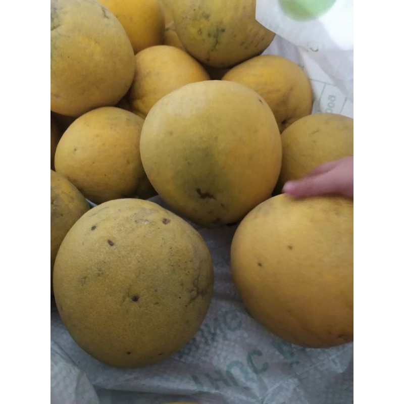 bưởi diễn bao ngon ngọt trên từng quả ngon bổ rẻ đặc sản vùng quê | BigBuy360 - bigbuy360.vn