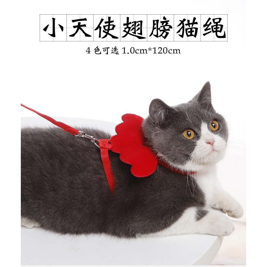 Doremiu - Bộ Dây dắt mèo đôi cánh thiên thần xích mèo phù hợp cho mèo từ 1-8kg