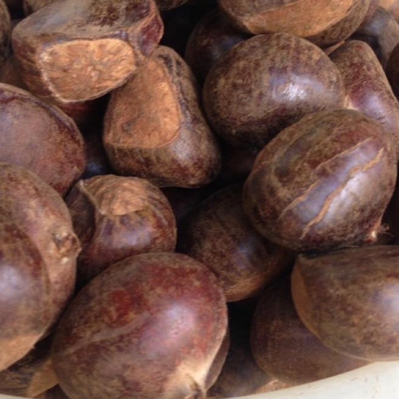 Ship hỏa tốc -HÀ Nội - 1kg Hạt dẻ tươi