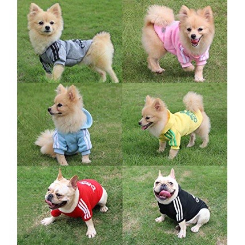 🥸BỘ ÁO CHÓ MÈO ADIDOG CÓ MŨ SIÊU XINH