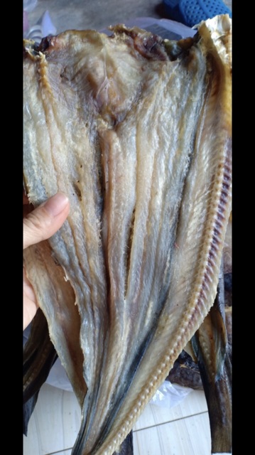 Khô Cá Ngát 1 kg | BigBuy360 - bigbuy360.vn