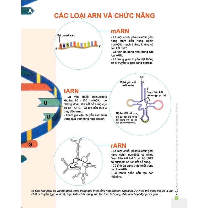Sách - Đột phá 8+ môn Sinh học (Phiên bản 2020) | BigBuy360 - bigbuy360.vn