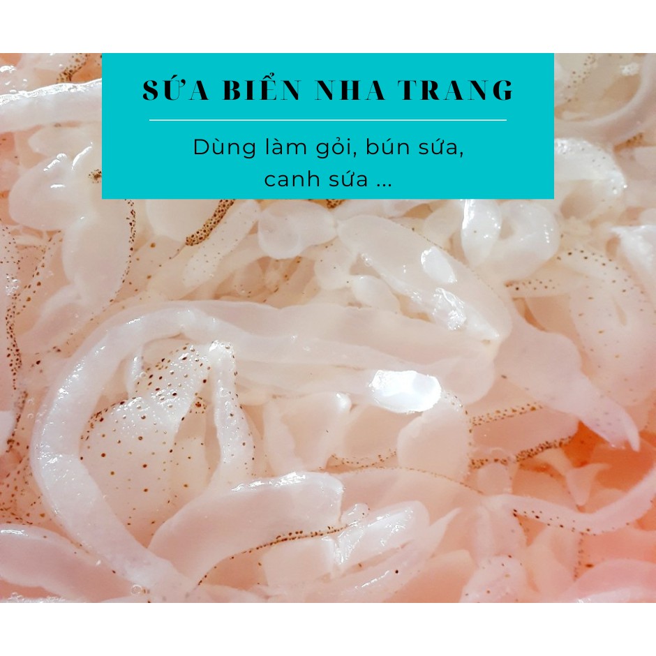 (2kg) Sứa biển.⭐️ làm gỏi - Ăn Liền