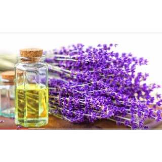 Tinh dầu lavender