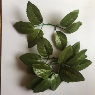 100g lá hoa hồng