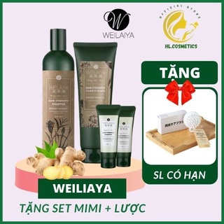 Bộ dầu gội gừng Weilaiya, giảm rụng kích mọc tóc chính hãng