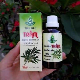 Tinh dầu tràm nguyên chất Huyền Thoại hỗ trợ hỗ trợ điều trị các bệnh về đường hô hấp cho trẻ sơ sinh và trẻ nhỏ