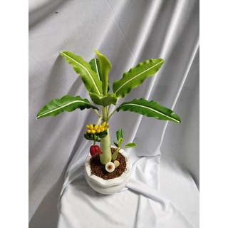 Chậu chuối đất sét cao 40cm