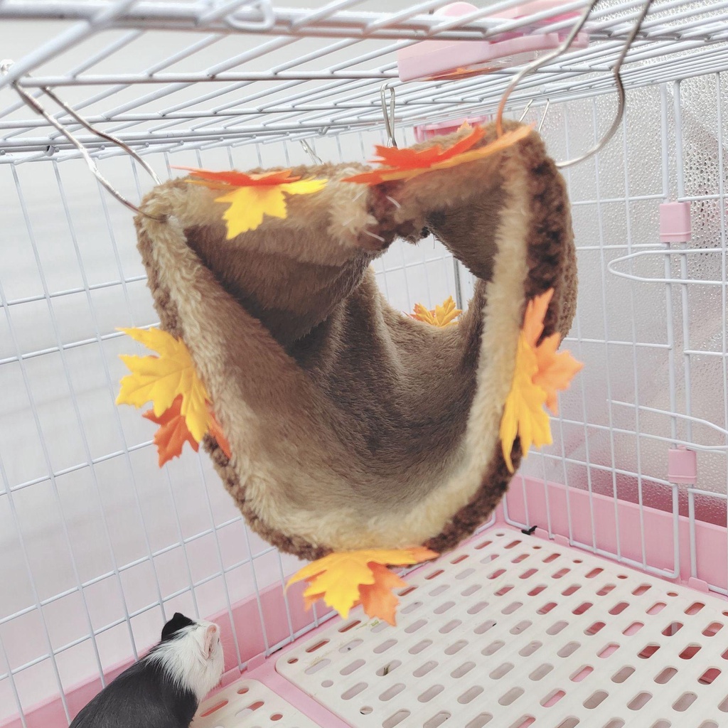 Võng Treo Thời Trang Cho Thú Cưng