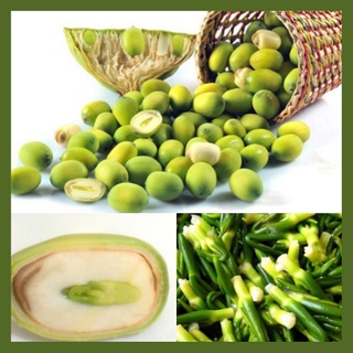 [LOẠI 1] Tâm Sen (Tim sen) 100gr