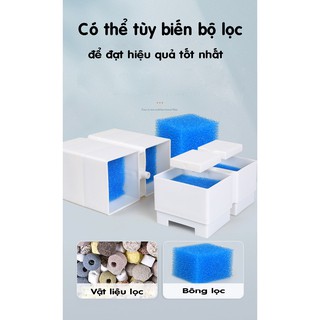 Bộ lọc rùa dàn mưa kép