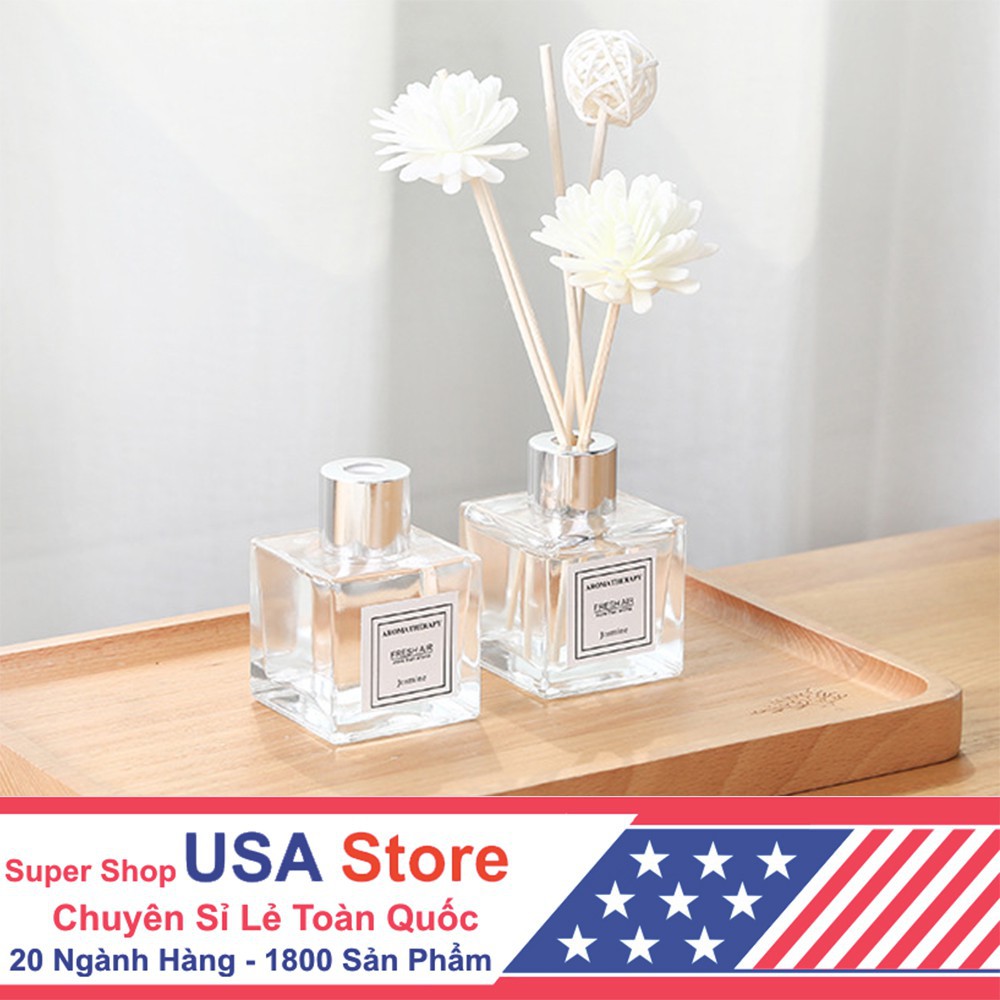 Lọ Hoa Phát Tán Tinh Dầu 2 Bông Hoa Vuông FXE1128 Autofun