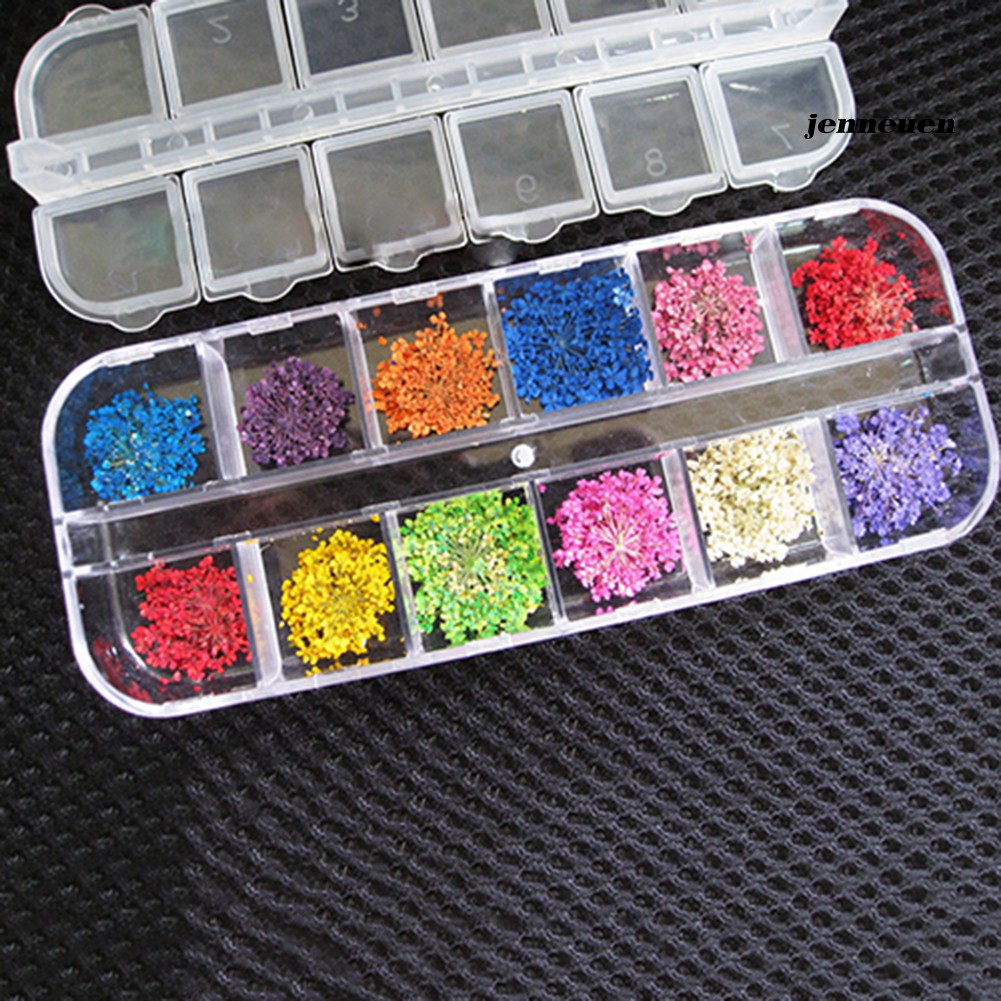[Hàng mới về] Hoa khô 3D với 12 màu trang trí cho móng tay