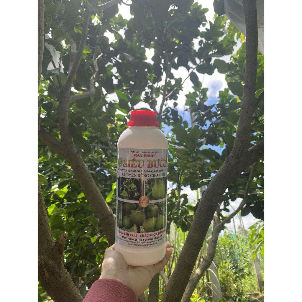 Phân Bón Cho Bưởi Max Fruit Chai 1 Lít - Tăng Đậu Trái, Chắc Ruột, Nặng Ký