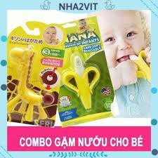 GẶM NƯỚU CON HƯƠU - CHUỐI NHẬT BẢN