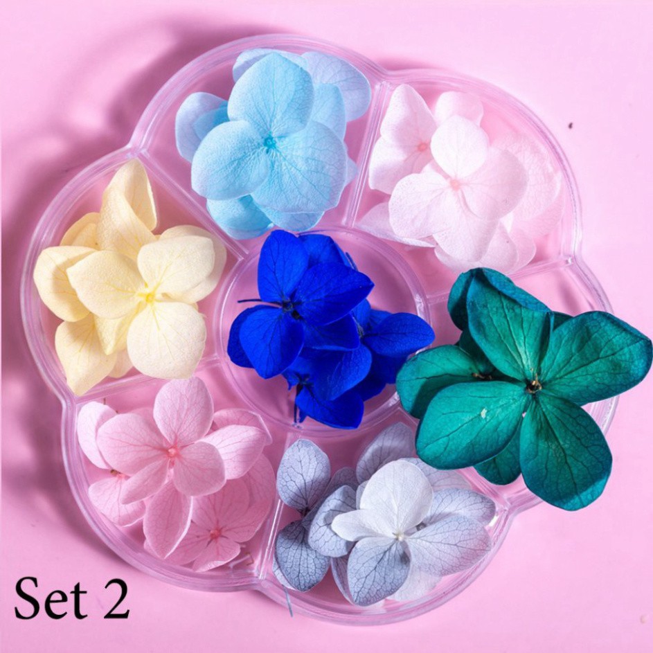 Hoa khô trang trí móng tay - Set 7 màu hoa khô nail, cánh hoa to và mỏng đắp ẩn theo phong cách Hàn Nhật O86