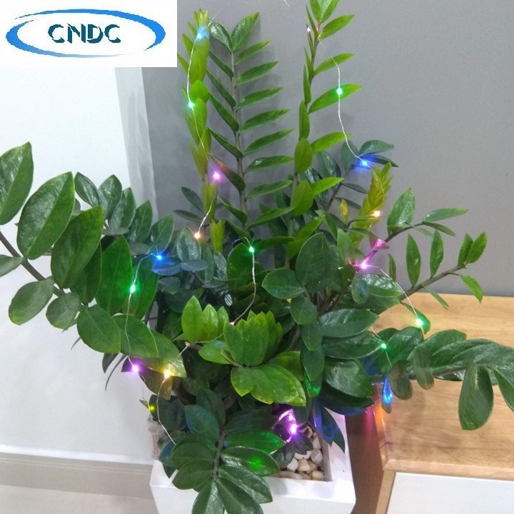 Dây đèn trang trí không nháy dùng pin dài 3m  - không kèm pin