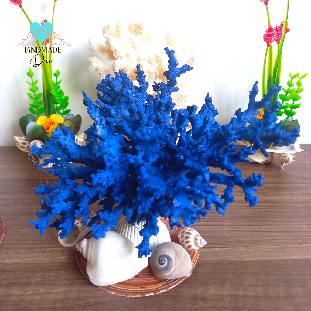 San Hô tự nhiên cho bể cá, bể thủy sinh trang trí tiểu cảnh không gian biển