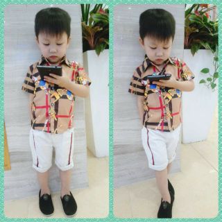 LÔ ÁO SƠ MI LỤA