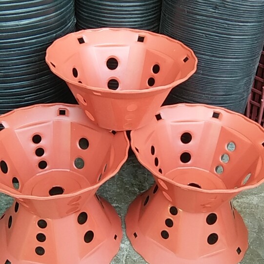 Chậu trồng lan giả gỗ, giả gốm