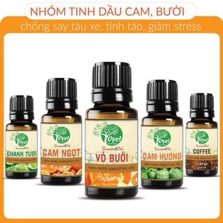Chống say tàu xe - Tinh thần tỉnh táo giảm stress