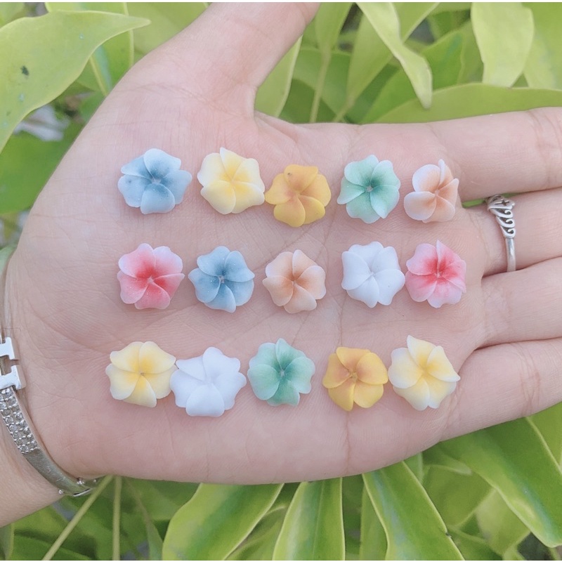 Hoa bột nails- đậu