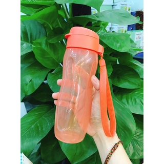 Bình nước Colorful Eco 500ml Tupperware