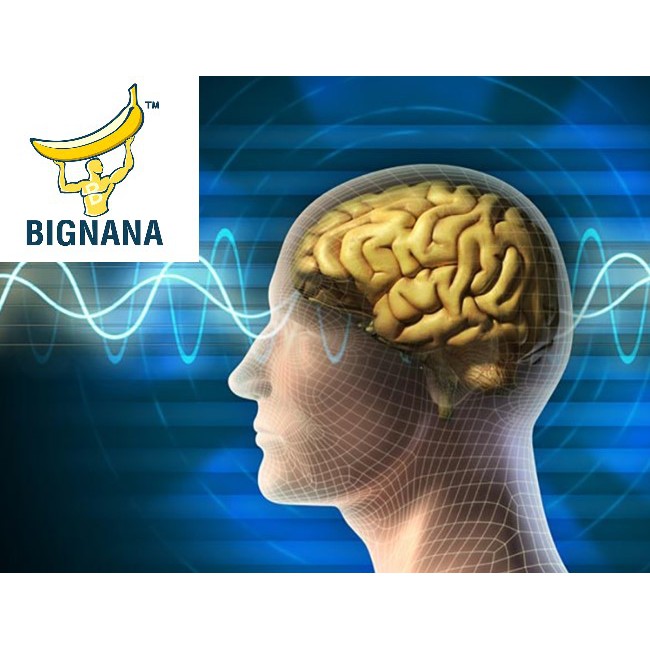 Hạt Chia Tím Chia Seeds Nhập Khẩu Úc Absolute Organic - 250g | BigBuy360 - bigbuy360.vn