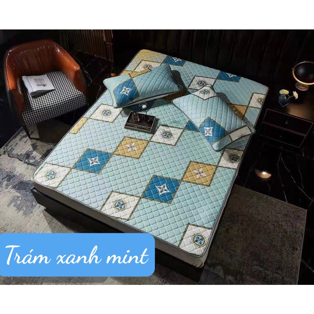 Chiếu điều hòa cao su non, vải lụa Tecel cao cấp, kích thước m6/m8/2m2- Khủng long nhí