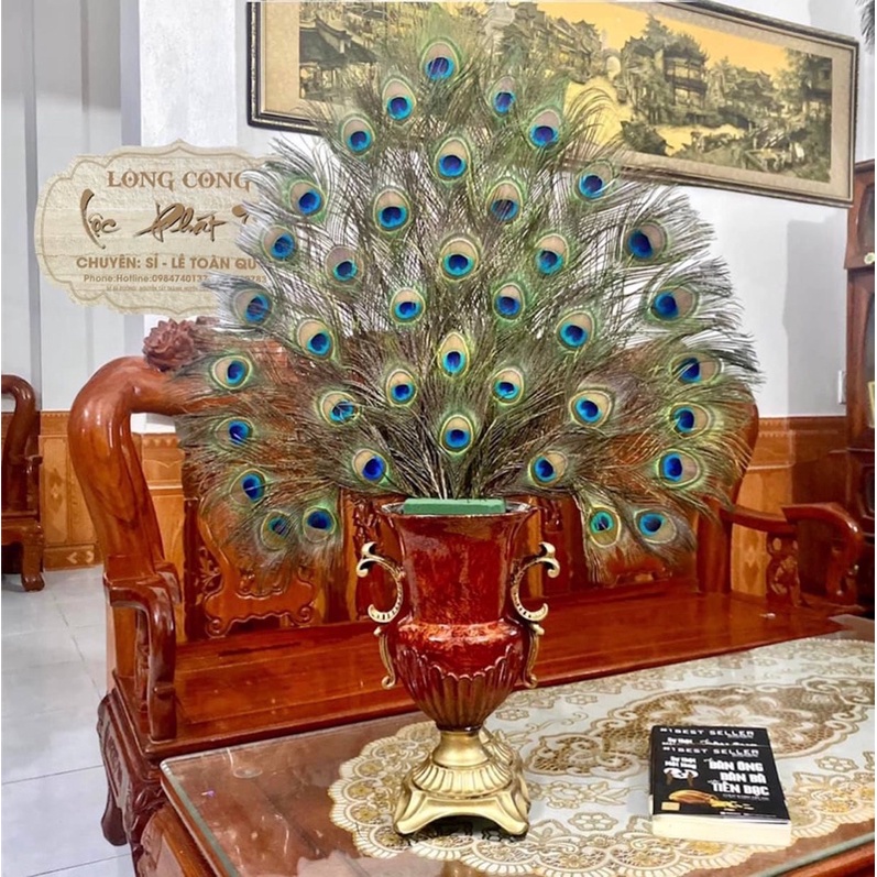 🦚CẮM SẴN Bình cắm LÔNG CÔNG 26-30-36 cành lông công đẹp