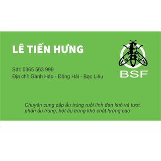Ruồi lính đen giống