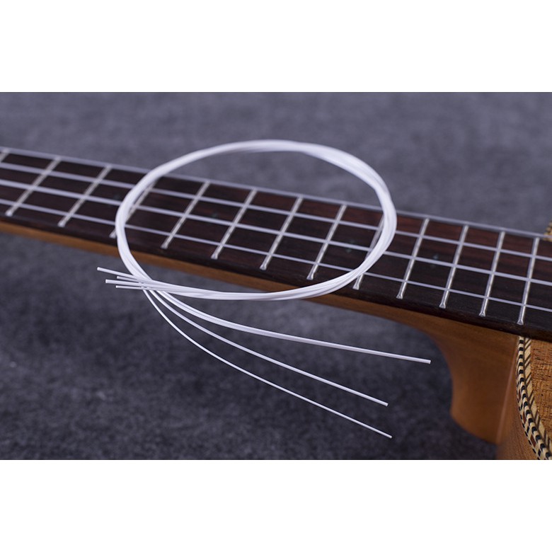 BỘ DÂY ĐÀN UKULELE AQUiLa