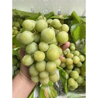 NHO XANH AUTUMN CRISP ÚC