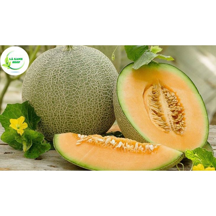 Hạt giống Dưa Lưới Ruột Vàng Lai F1, Chịu Nhiệt Tốt, Trồng Quanh Năm (gói 10 hạt) - Hạt giống Rạng Đông