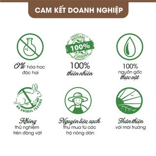 Combo 3 tinh dầu Tràm Gió Homer 20ml/chai