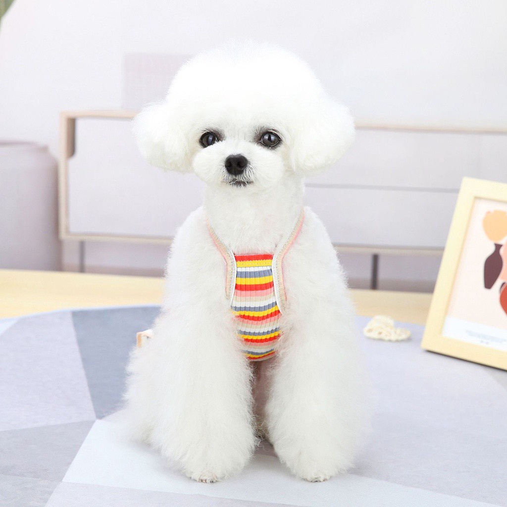Đầm công chúa không tay bằng cotton họa tiết cầu vồng cherry phối ren dành cho thú cưng nhỏ vừa dễ thương