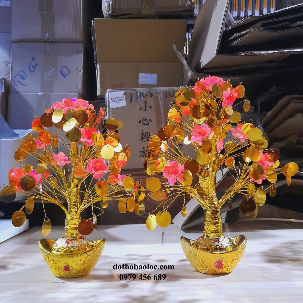 Cây Kim Tiền Vàng Lộc Tài ( 2 cỡ cao: 29cm và 26cm)