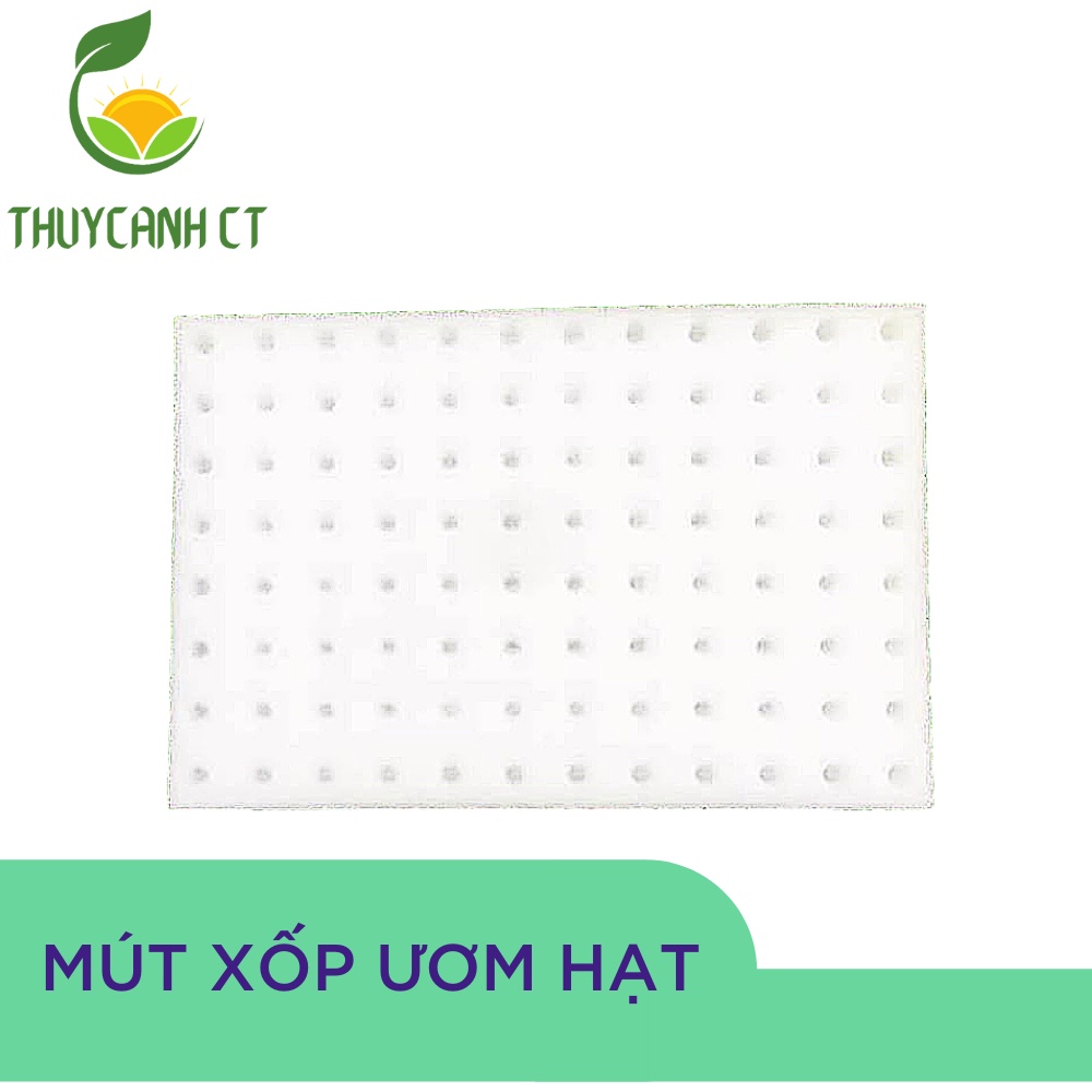 Mút xốp ươm hạt, mút ươm hạt thủy canh combo 480 viên