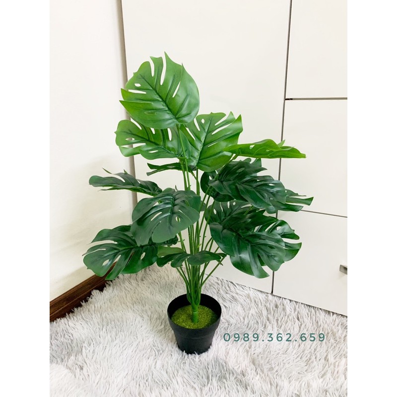 Cây giả - cây lá rùa decor 50cm