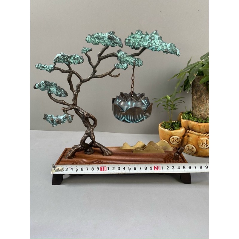 Xông trầm cây tùng