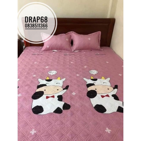 ga trần bông ( freeship) ga chun trần ga trải giường dày dặn chắc chắn