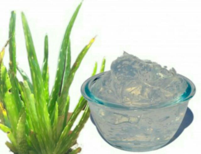 Gel nha đam nguyên chất