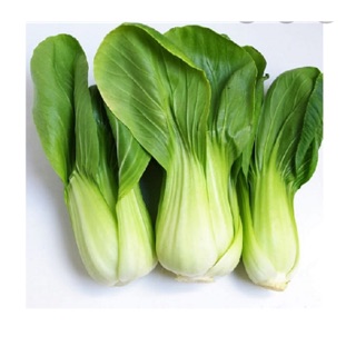 Hạt giống cải thìa