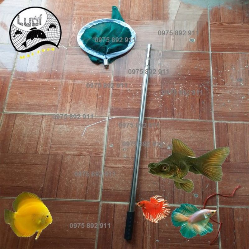 Vợt cá cảnh - loại ninox sịn