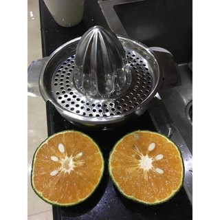Vắt cam inox