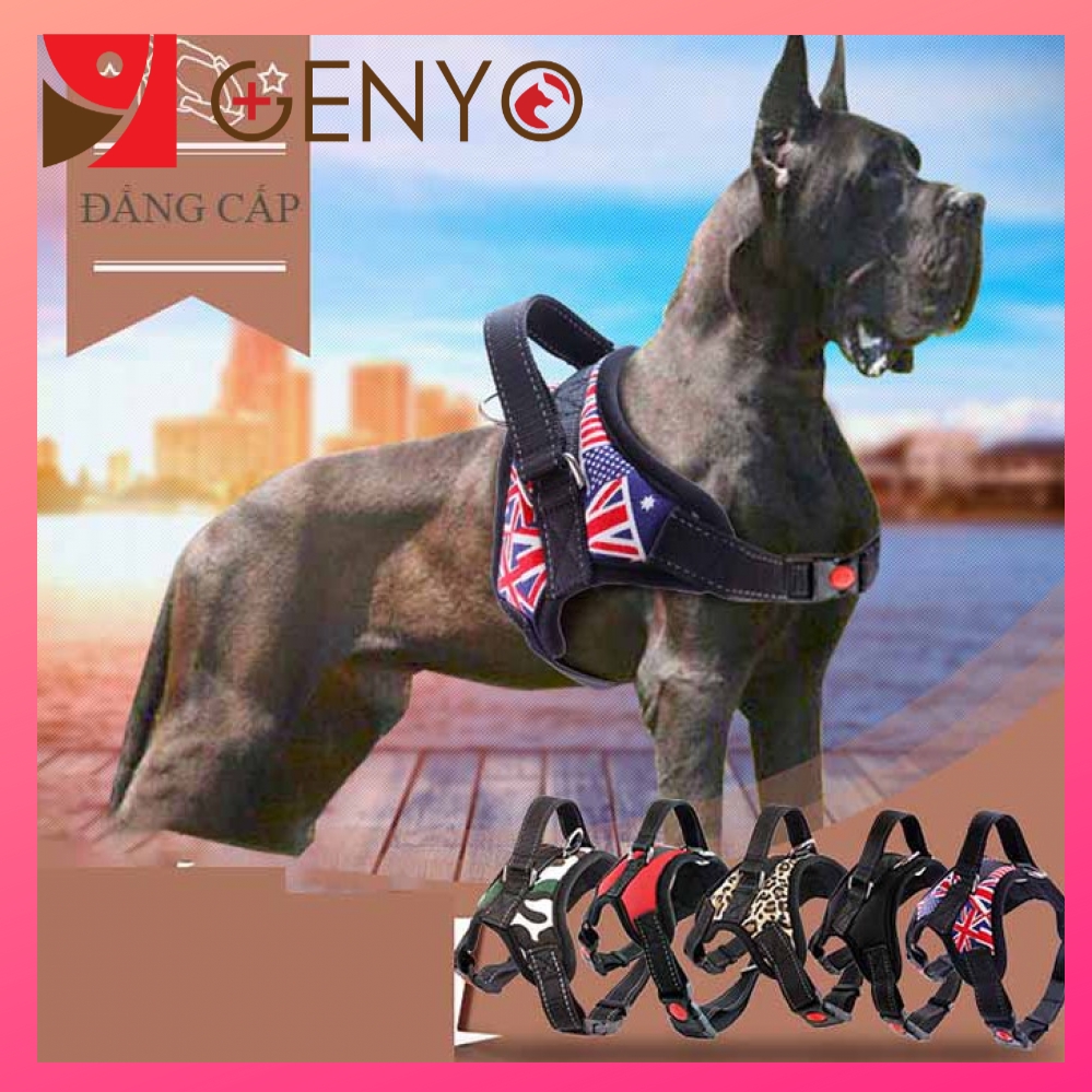 Đai yếm cao cấp cho chó - dây dắt cho chó - dây dắt chó loại lớn