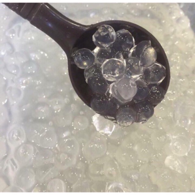 Trân châu trắng 3Q Seajelly