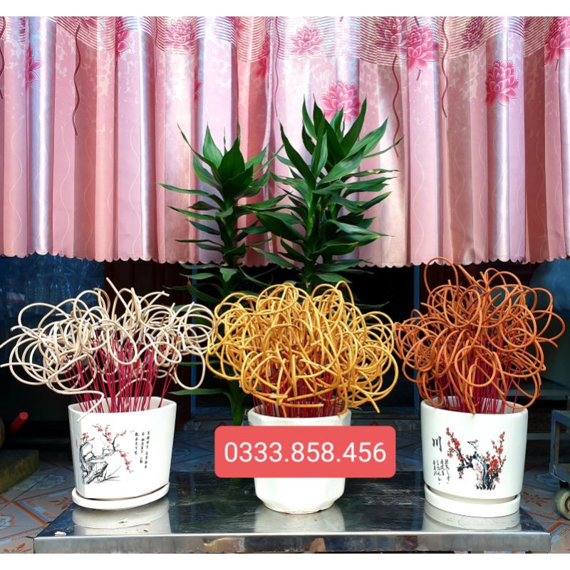 Nhang thần tài, nhang tài lộc Thiên Trường 100 nén, 150 nén