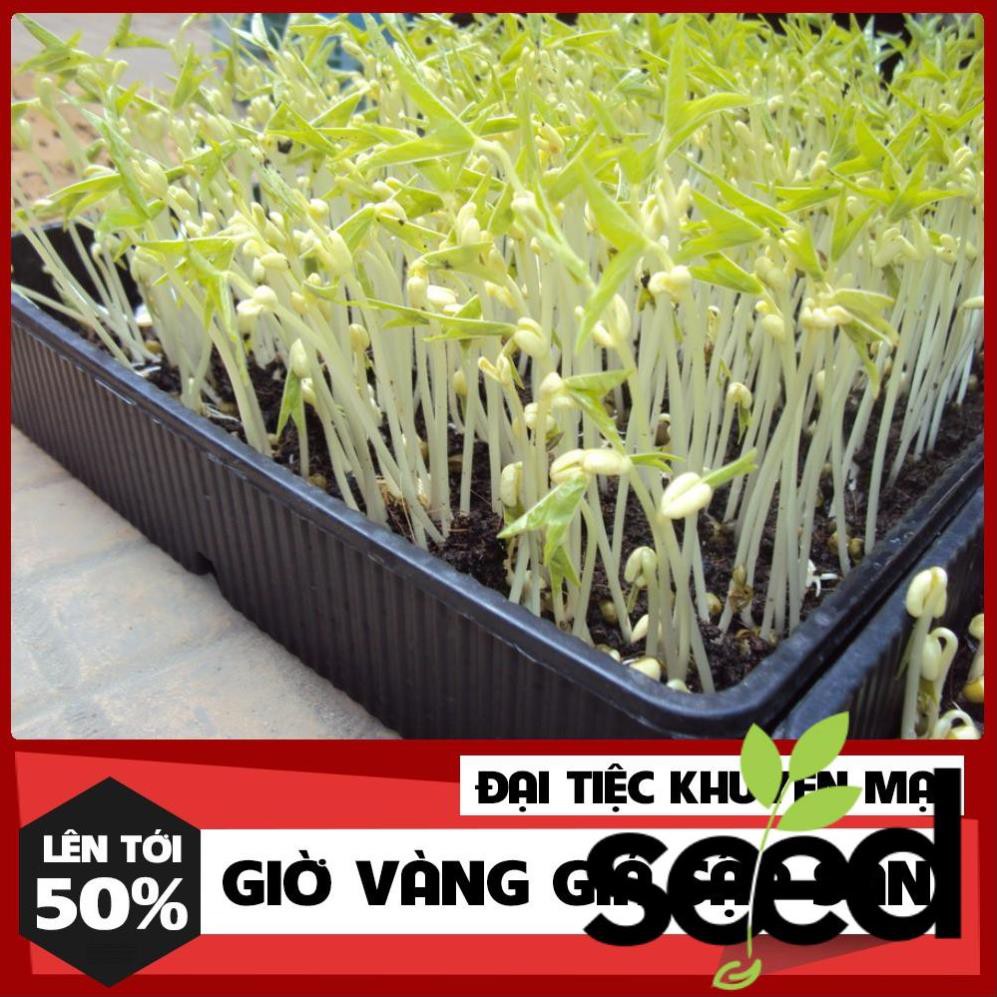 100 Gram Hạt Mầm Giá Đậu Xanh Phú Nông